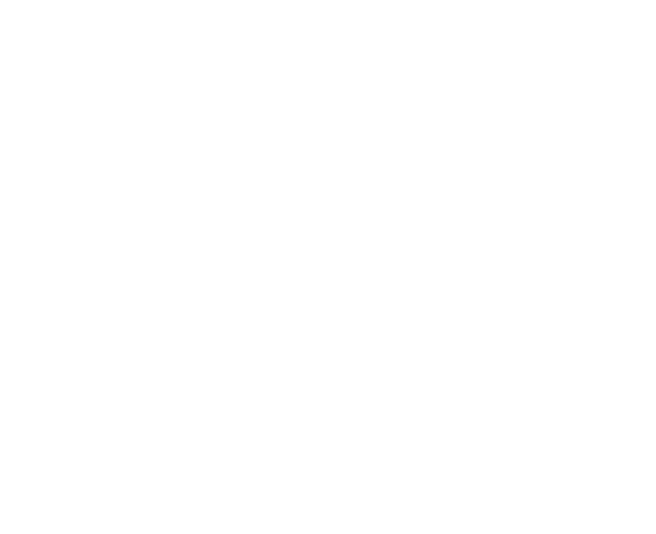 Winner Best in class 2017